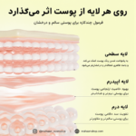 بوستر شات ویتامین سی آرنسیا| روشن‌کننده قوی انواع تیرگی - Image 6